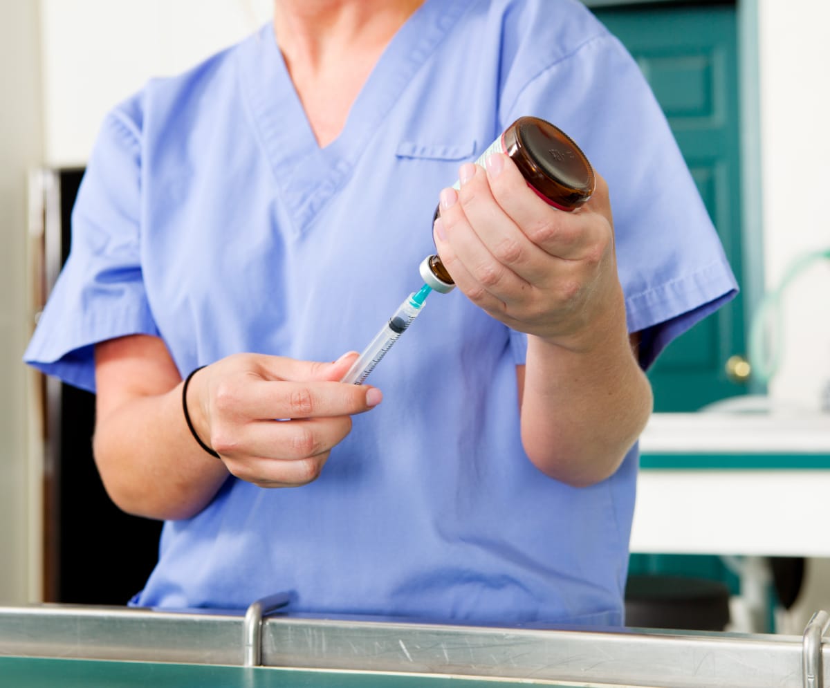 Spaying or Neutering Your Cats