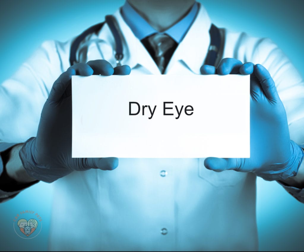 a doctor holding a sign that reads canine dry eye