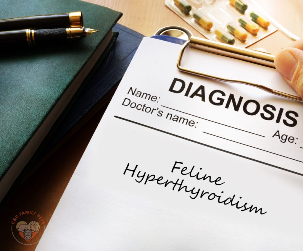 A person holding a clipboard with the word diagnosis on it.