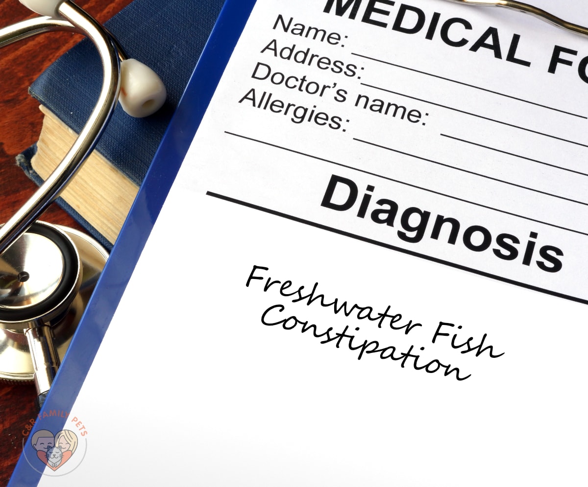 Freshwater Fish Constipation Symptoms, Prevention and Treatment