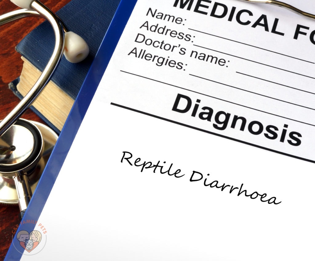 a clipboard that reads reptile diarrhea