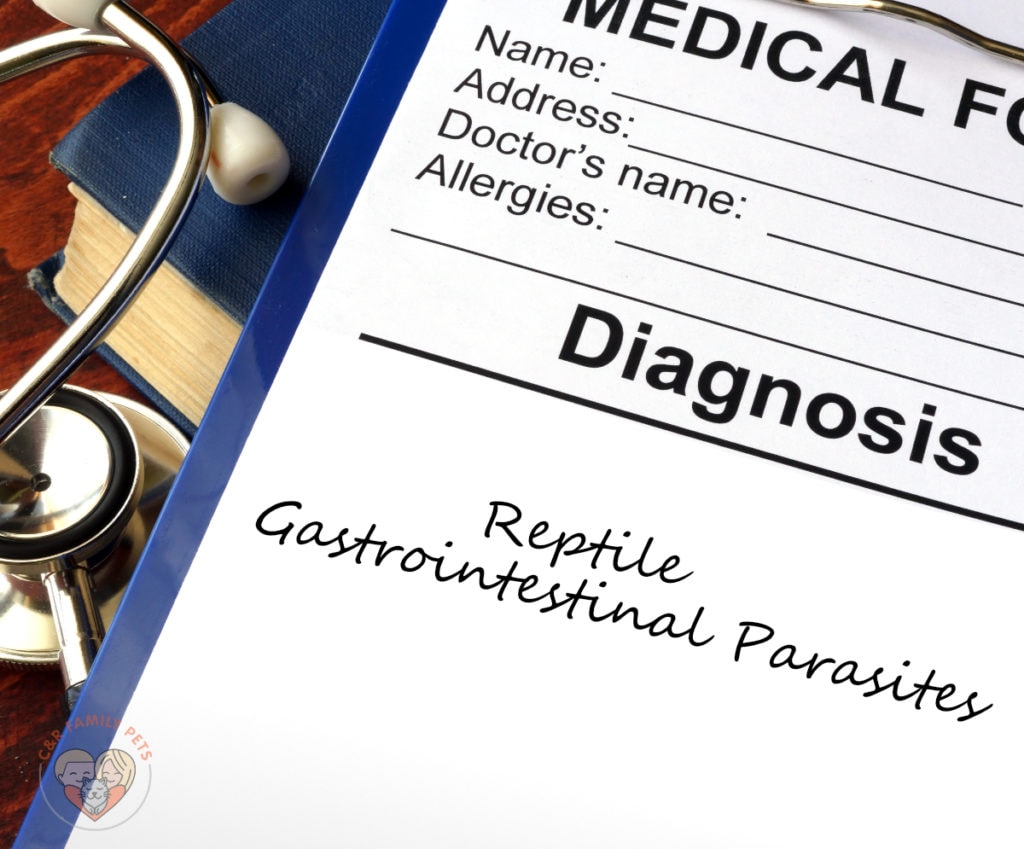 A stethoscope and a medical form with the words diagnostics of gastroenterological parasites.