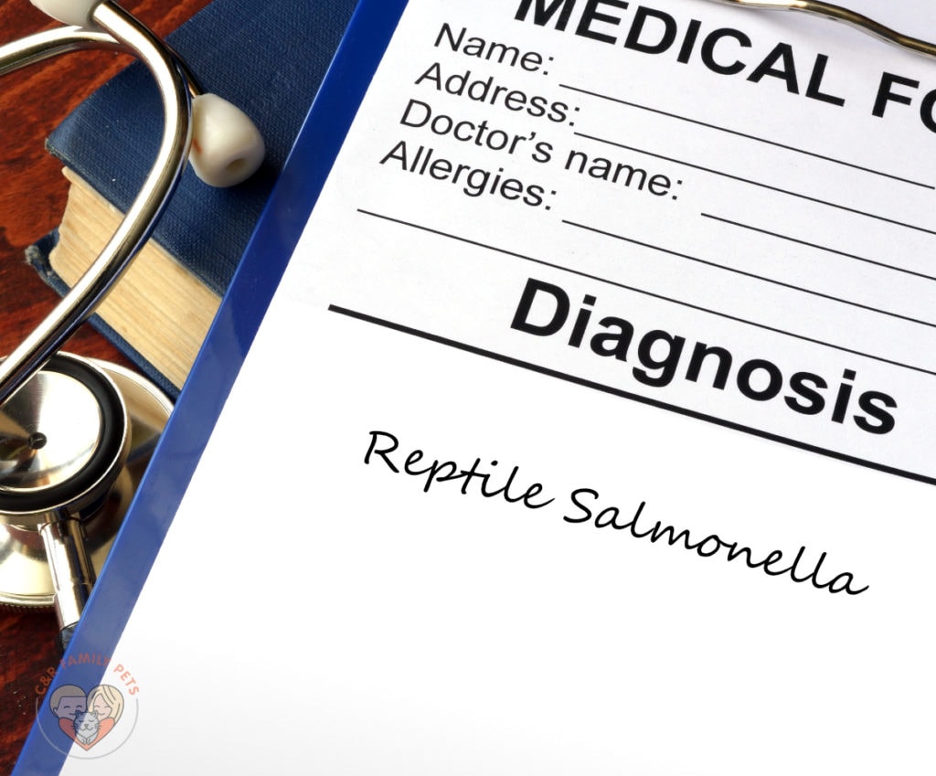 A medical form with the word diagnostics reptile salmonellosis.