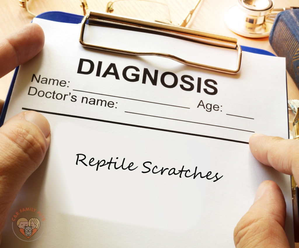 A person holding a clipboard with the words diagnosis reptile scrotches.