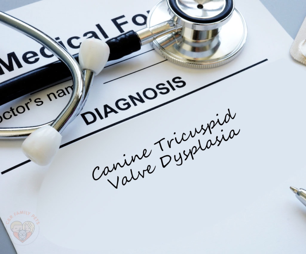 A stethoscope sits on top of a medical diagnosis.