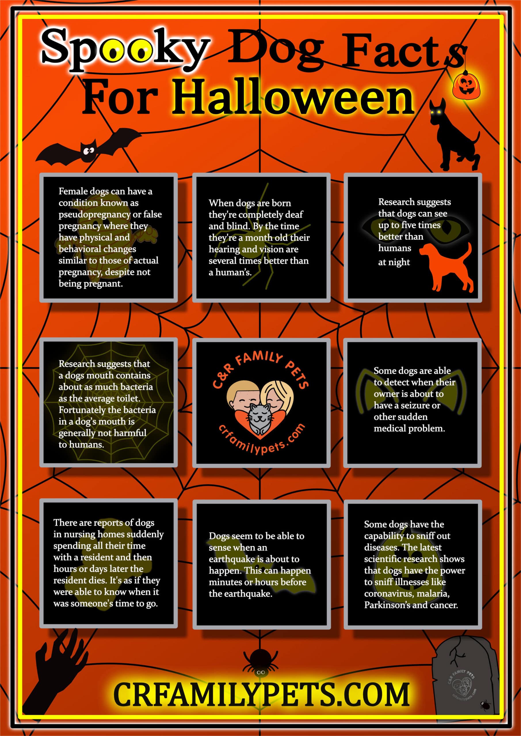 Infographic titled "Spooky Dog Facts for Halloween" with dog-related facts on a spider web background. Features images of dogs, spiders, and Halloween-themed graphics.