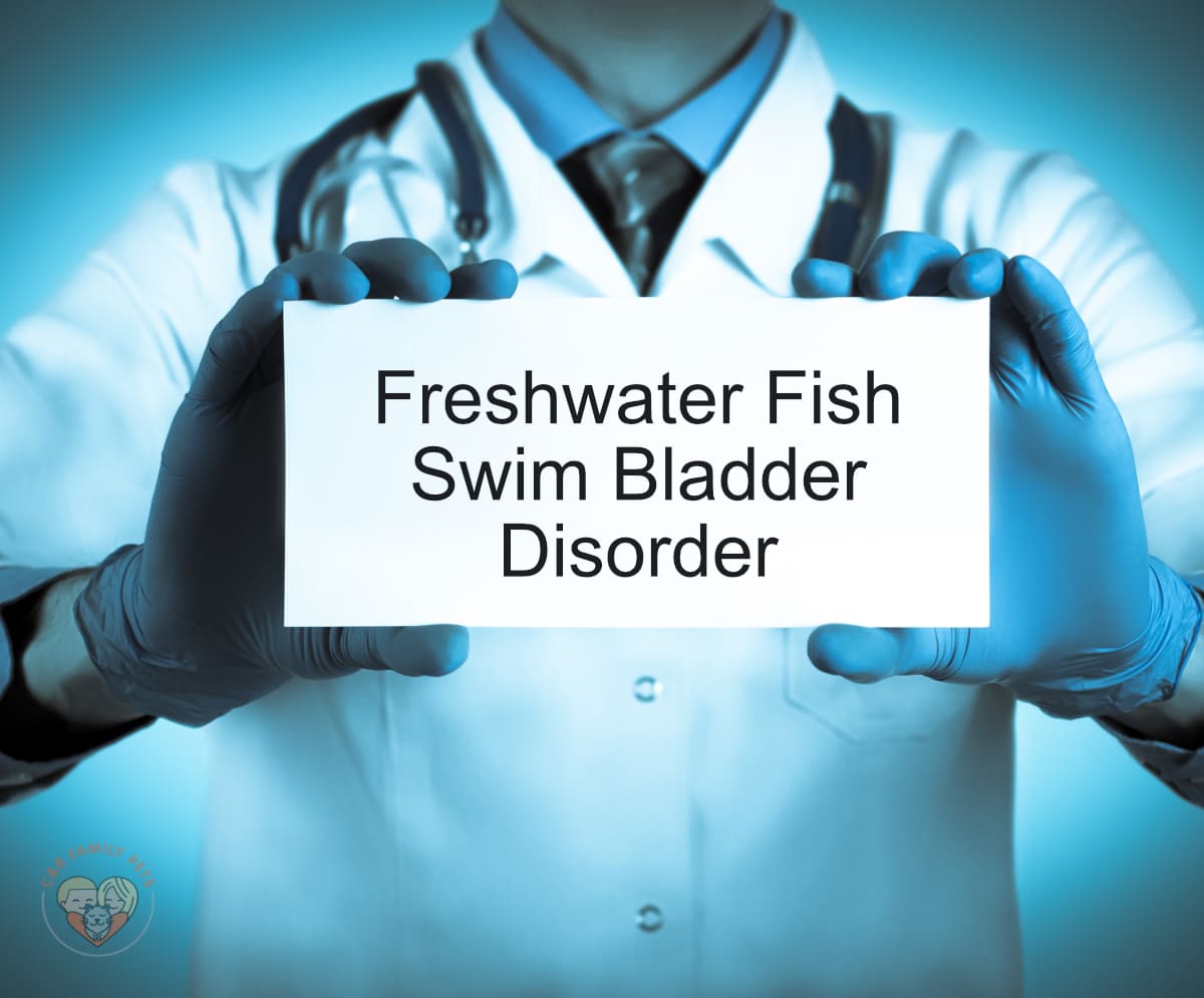 Freshwater Fish Swim Bladder Disorder